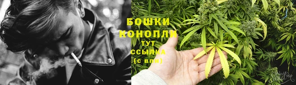 каннабис Беломорск