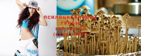 дмт Балахна